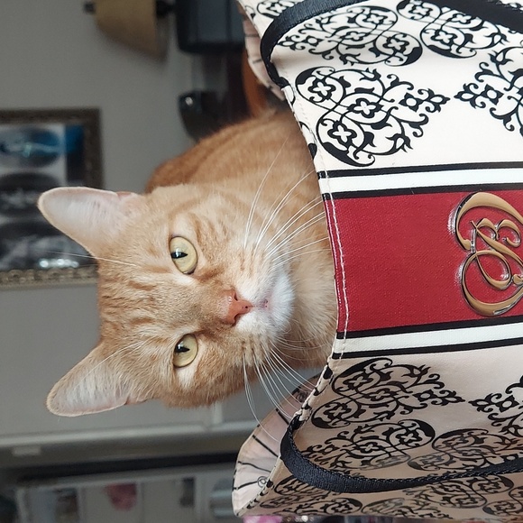 BRIGHTON Vintage My Sweet💝Valentine Neverfull Set - Picture 16 of 16